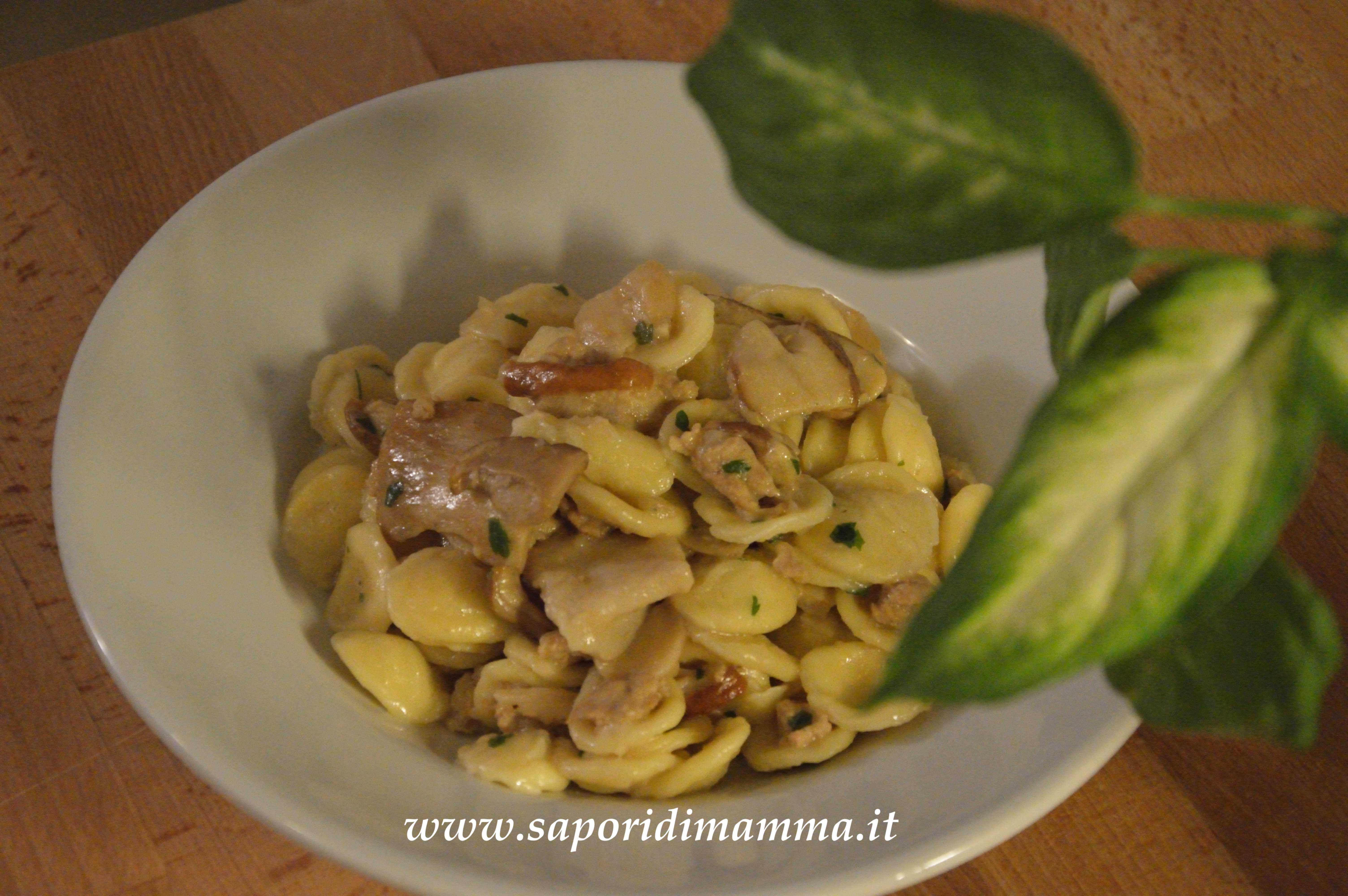Orecchiette ai funghi porcini SAPORI DI MAMMA Ricette e sapori di